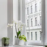 Center 110 M2 Spacious And Elegant Lejlighed Warszawa